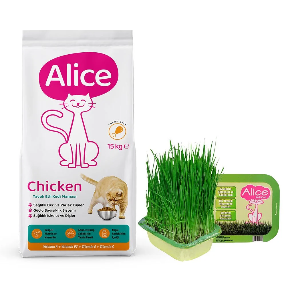 Alice Chicken Tavuk Etli Kedi Maması 15 Kg + Alice Kedi Çimi Alice Chicken Tavuk Etli Kedi Maması 15 Kg + Alice Kedi Çimi