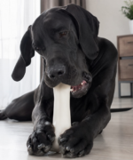 Kardelen %100 Dana Derisi Köpek Çiğneme Kemiği 170 GR x 10 ADET