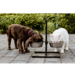 Kedi/Köpek Mama/Su Kabı Standlı İkili 20 cm Çelik Ayarlanabilir Yükseklik 2.0 QT
