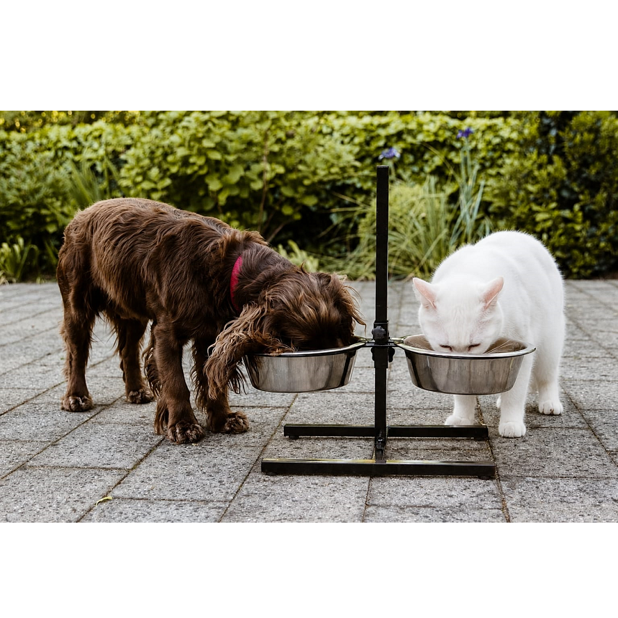 mamasukap Kedi/Köpek Mama/Su Kabı Standlı İkili 24 cm Çelik Ayarlanabilir Yükseklik 3.0 QT - Görsel 1